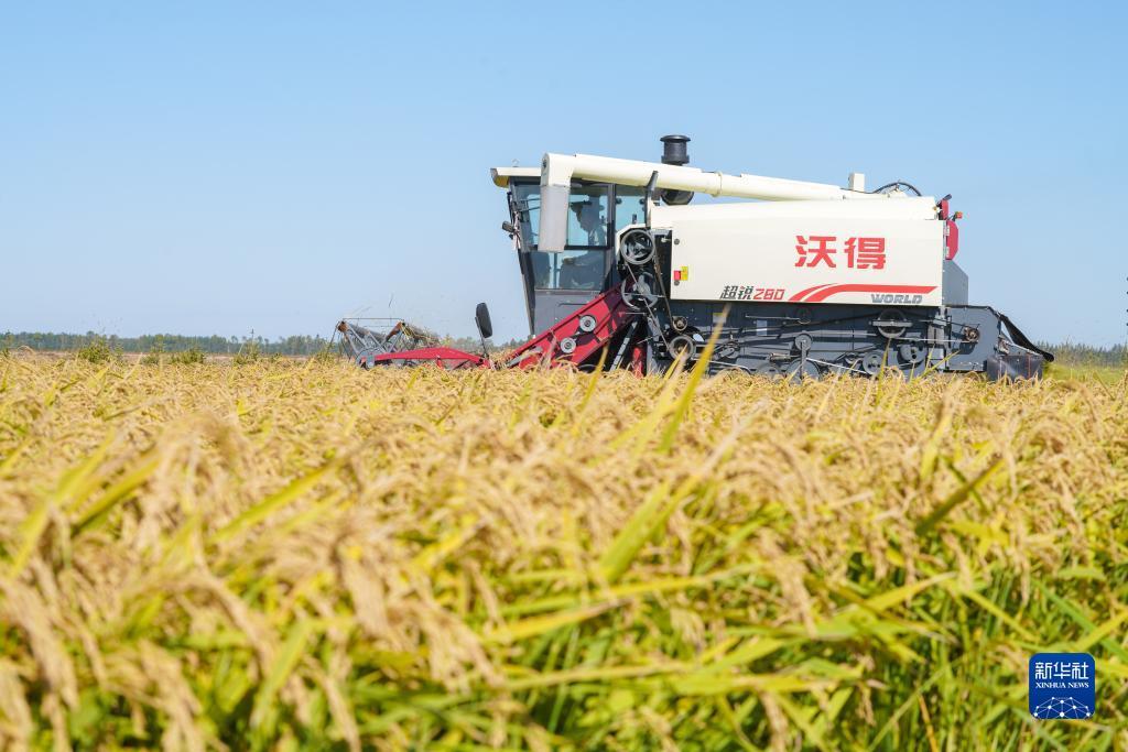 小太阳网站首页登录
